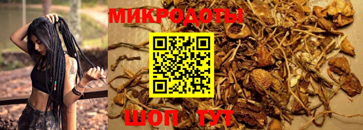Псилоцибиновые грибы Magic Shrooms Гусь-Хрустальный