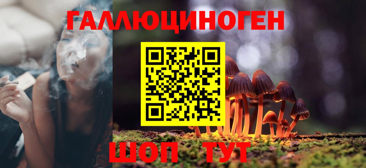 Псилоцибиновые грибы Magic Shrooms  Вход с VPN  где купить наркоту  Псилоцибиновые грибы мухоморы  Гусь-Хрустальный 